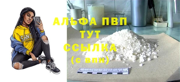 стаф Сатка